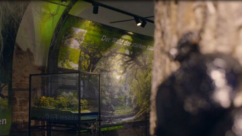 Ausstellung "Mitten im Fluss" Mitten im Fluss