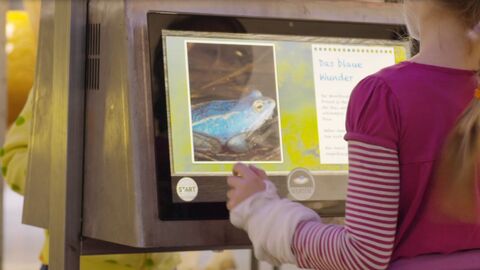 Ausstellung "Mitten im Fluss" Mitten im Fluss