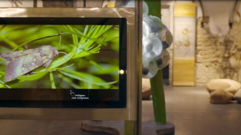 Ausstellung "Mitten im Fluss" Mitten im Fluss