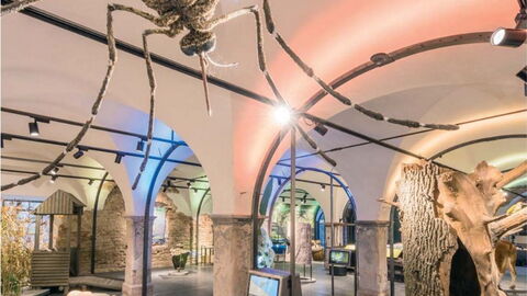 Ausstellung "Mitten im Fluss" Ausstellung "Mitten im Fluss"