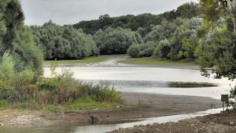 Beobachtungsstand Aquarium