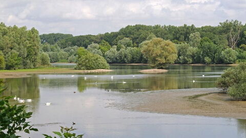 Beobachtungsstand Krönkesarm