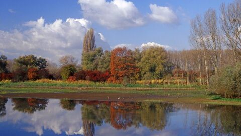 Beobachtungsstand Schlappeswörth