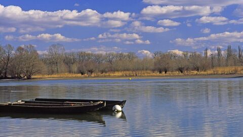 Der Altrhein an der Knoblochsau 