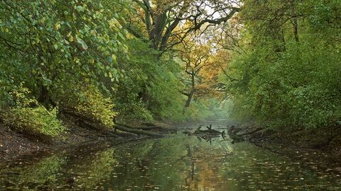 Wassergefüllte Flutrinne