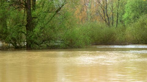 Hochwasser