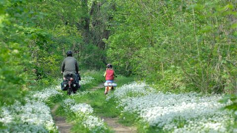 Spazierengehen-und-Radfahren