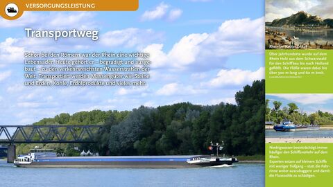 Transportweg Heute gehört der Rhein - begradigt und ausgebaut - zu den verkehrsreichsten Wasserstraßen der Welt