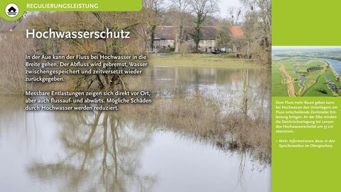 Hochwasserschutz In der Aue kann der Fluss bei Hochwasser in die Breite gehen. Der Abfluss wird gebremst, Wasser zwischengespeichert und zeitversetzt wieder zurückgegeben.
