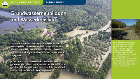Grundwasserneubildung und Wasserkreislauf Fluss und Grundwasser korrespondieren miteinander. Bei längeren Trockenzeiten fließt Wasser aus der Aue in den Fluss, bei Hochwasser wird Wasser in der Aue zwischengespeichert und verzögert wieder abgegeben.