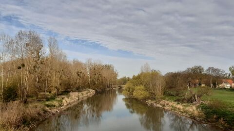 Schatzinsel Kühkopf